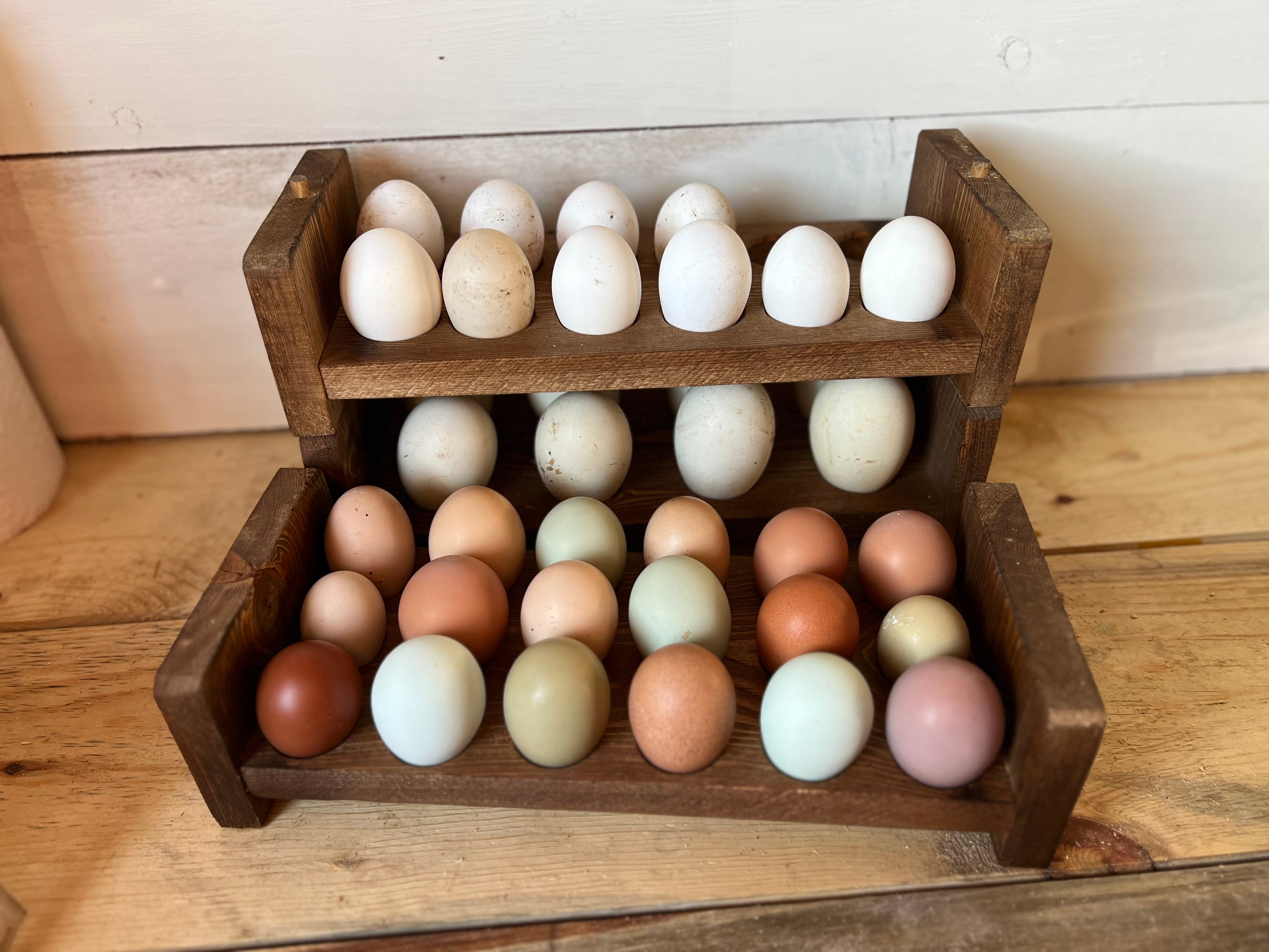 ChasBete Egg Holder Countertop Egg Storage, Egg Baskets for Fresh Eggs,  Vintage Cast Iron Chicken Egg Basket, Hold up to 12 Eggs