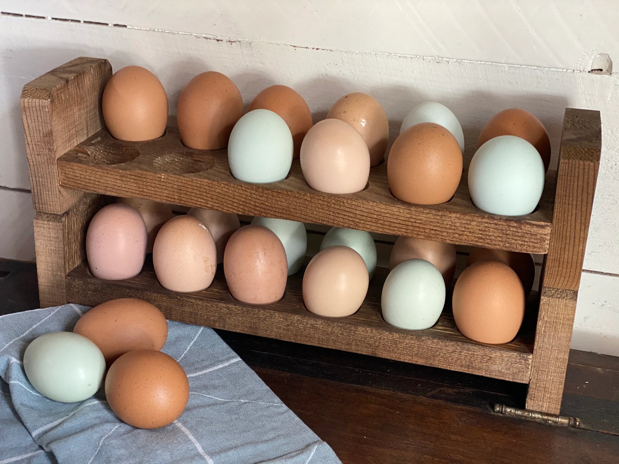 Pikanty - Egg Holder | Made in USA